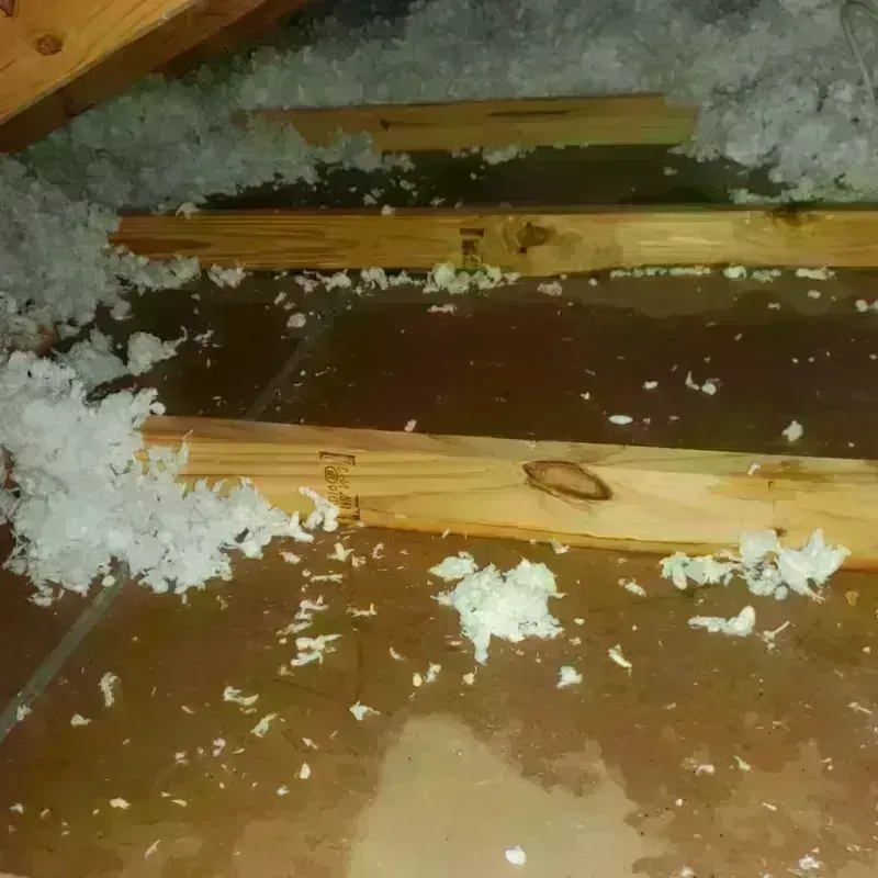 Attic Water Damage in Tracy, MN