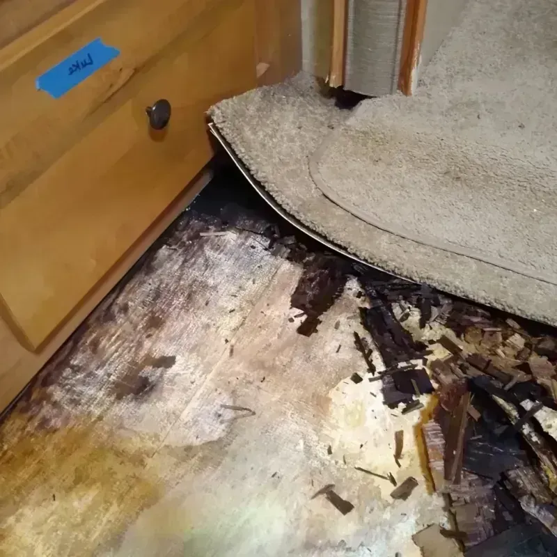 Best Wood Floor Water Damage Service in Tracy, MN